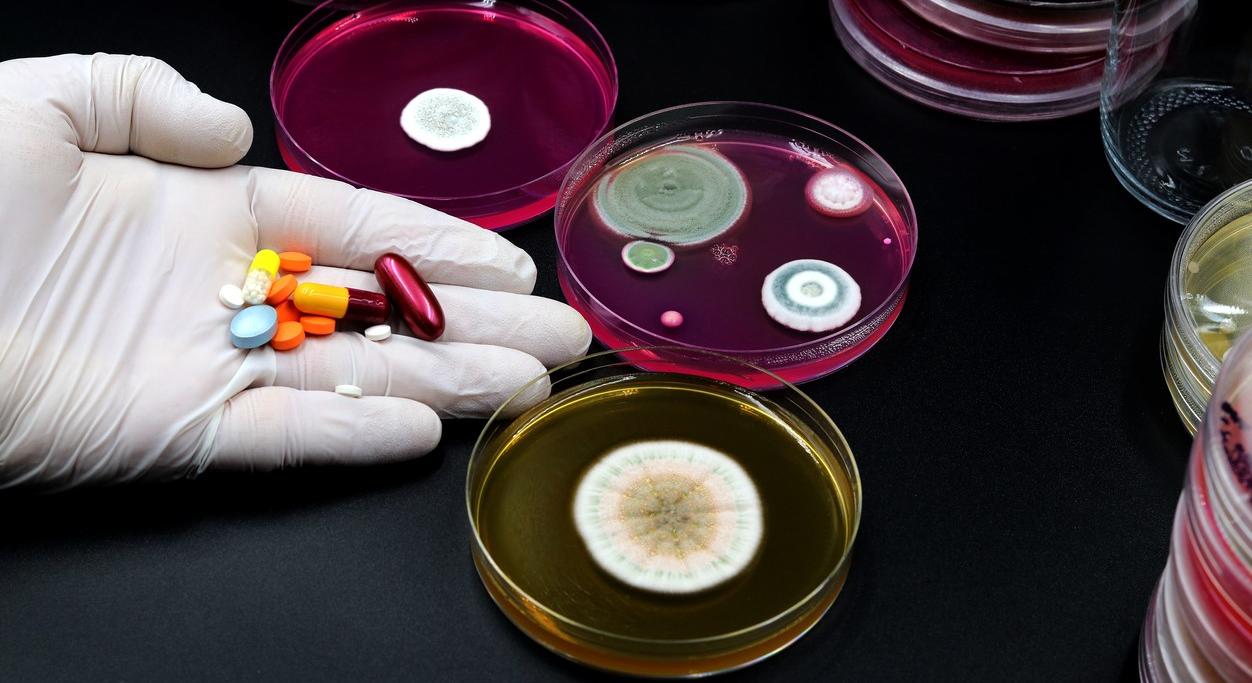 Pills and petri dishes