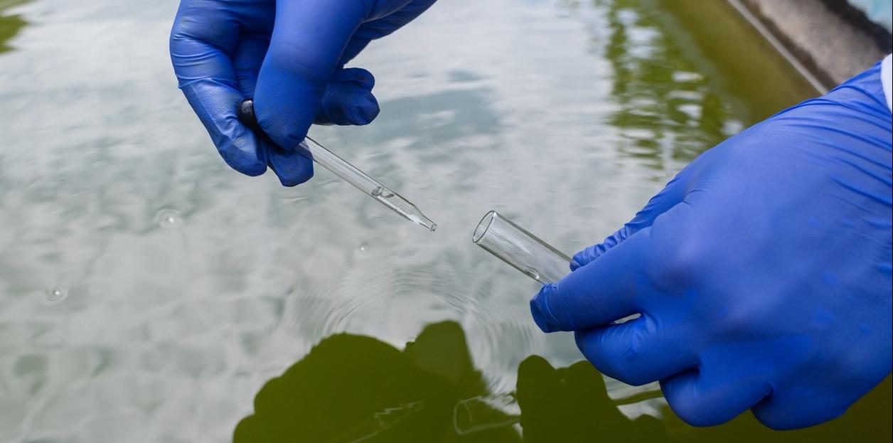 Wastewater treatment and gloved hands