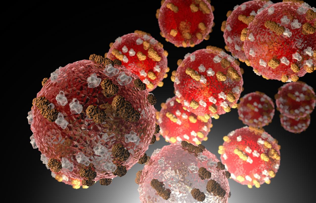 Measles virus illustration