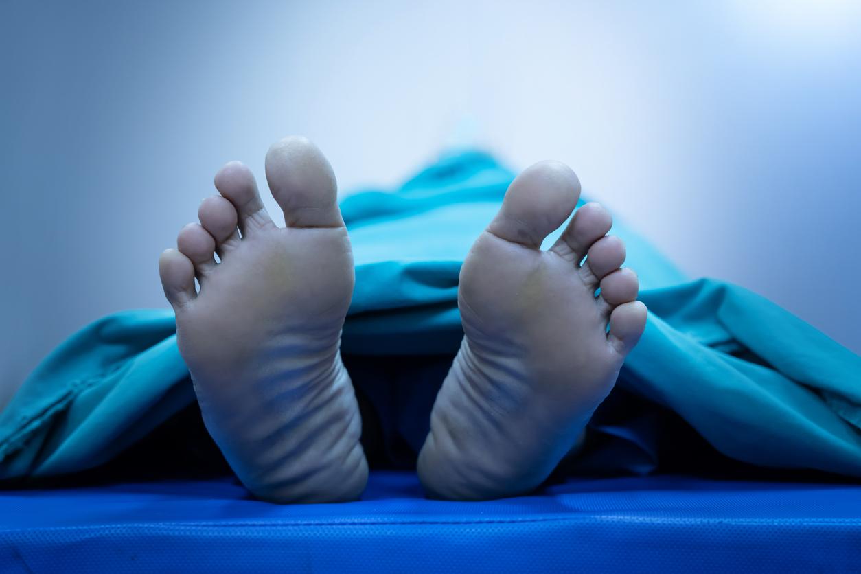 cadaver