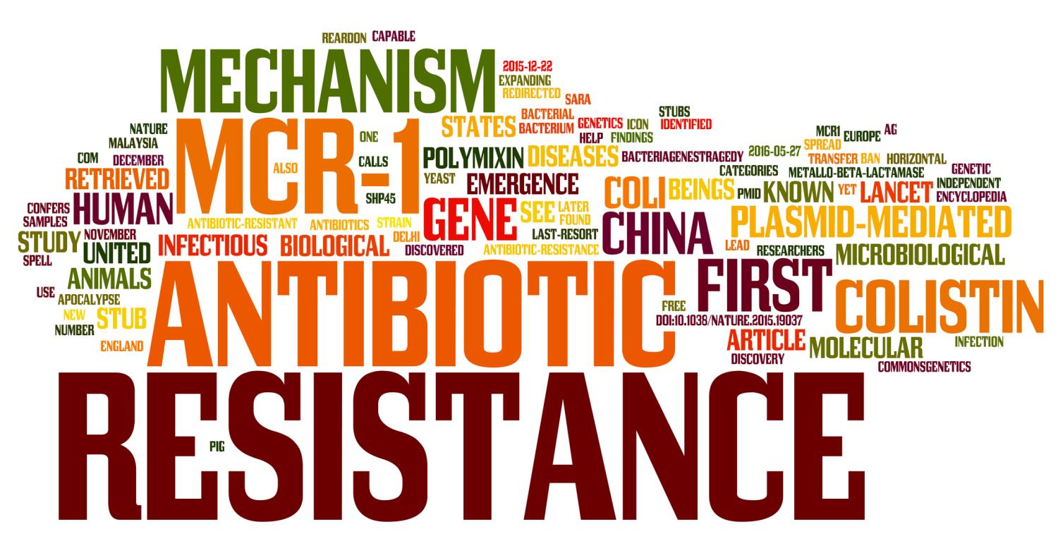 Word cloud