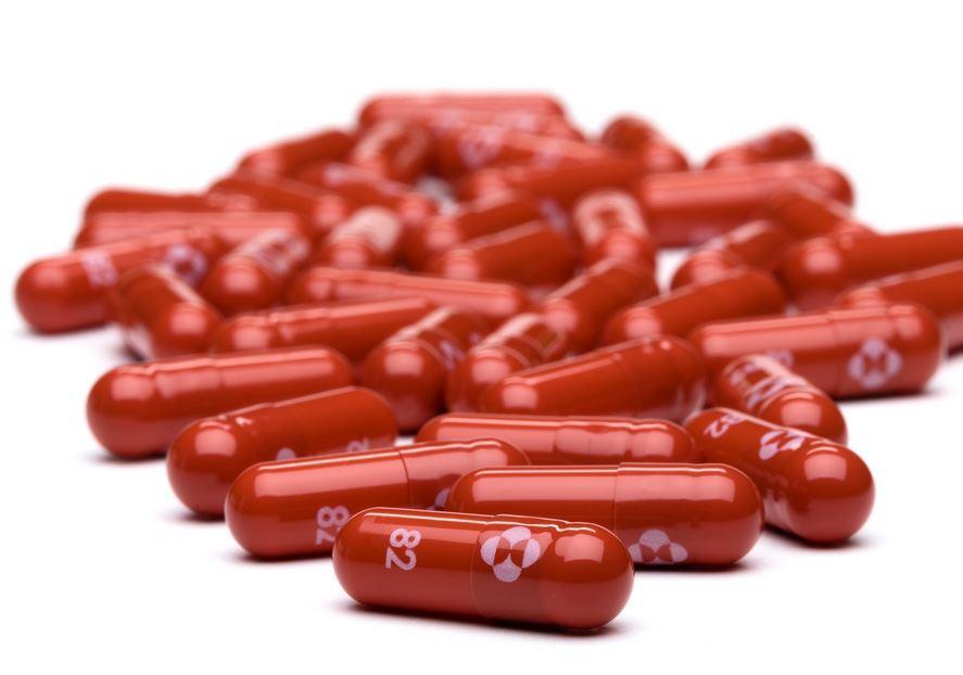 molnupiravir pile