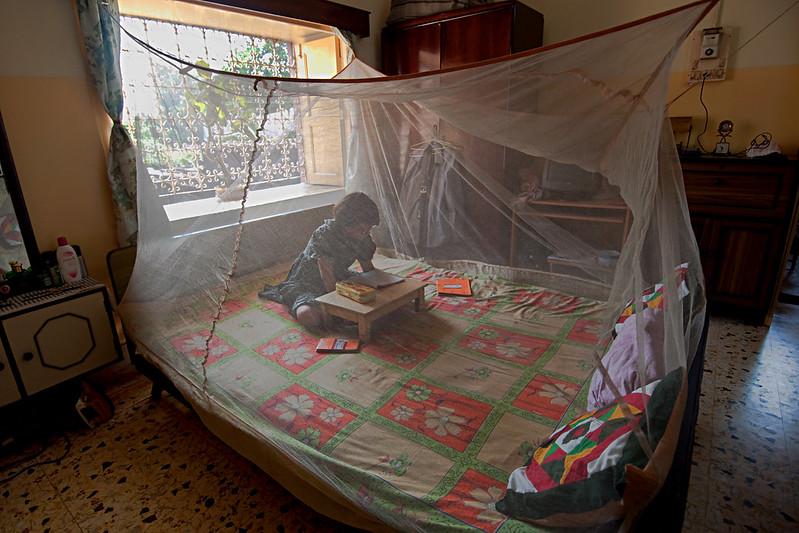 reading under malaria net