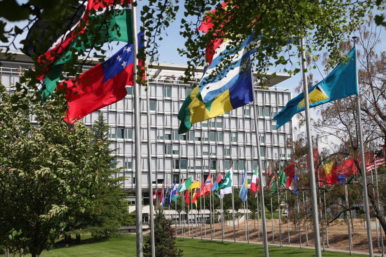 WHO flags