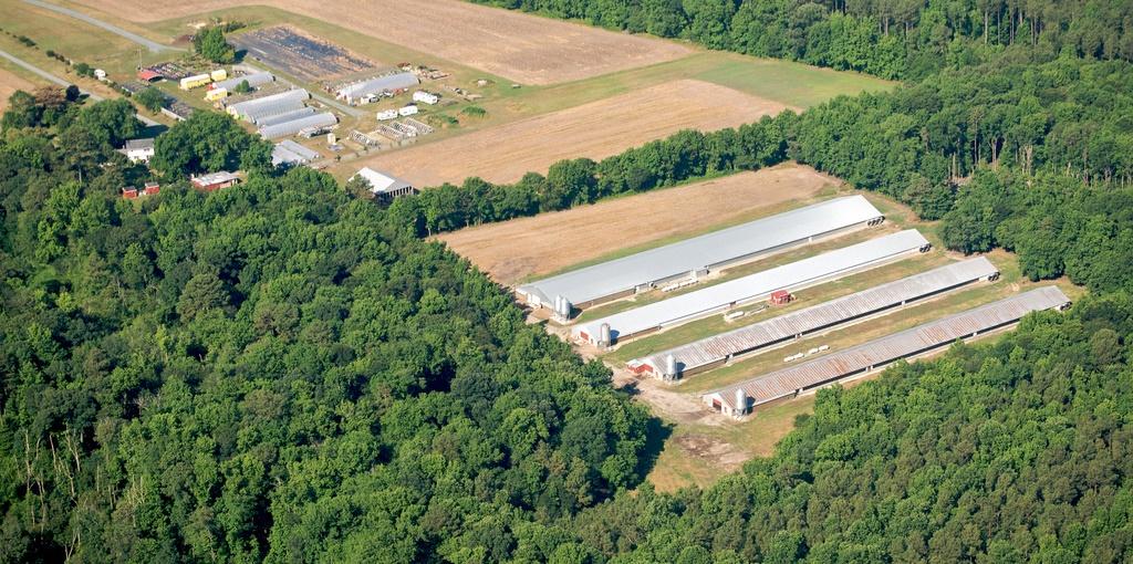 Poultry farm, aerial view