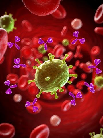 Antibodies
