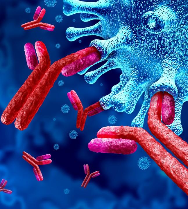Antibodies attacking a virus illustration