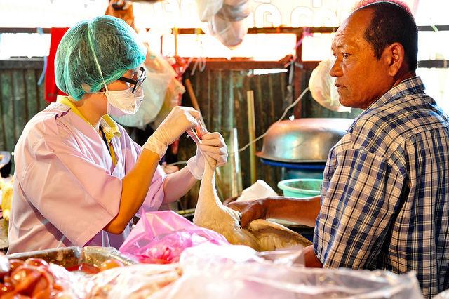 Avian flu market surveillance