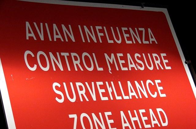 Avian flu sign