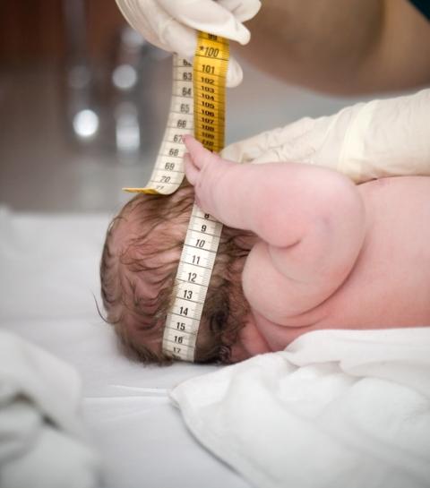 Baby head circumference