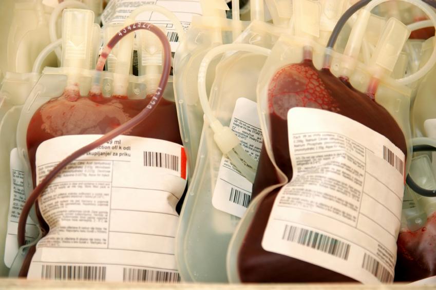 Bags of blood