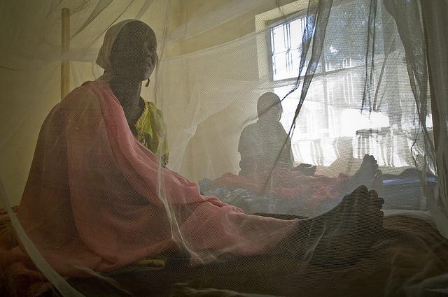 Bed net use