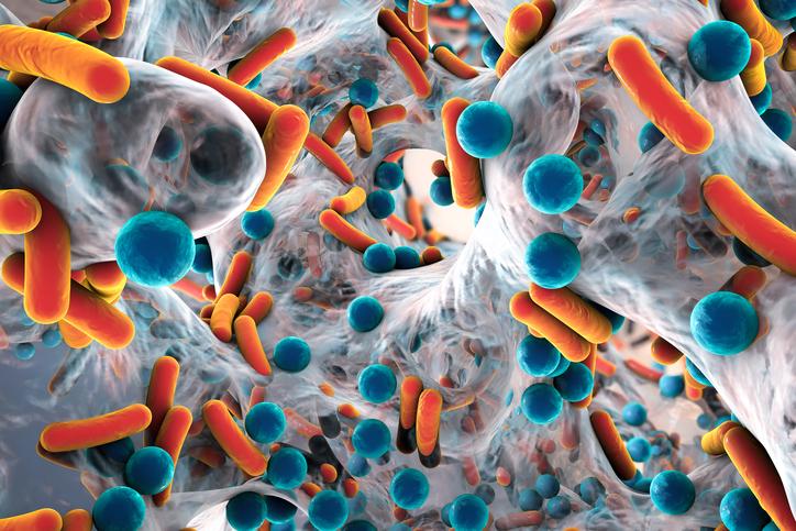 Biofilm of antibiotic-resistant bacteria