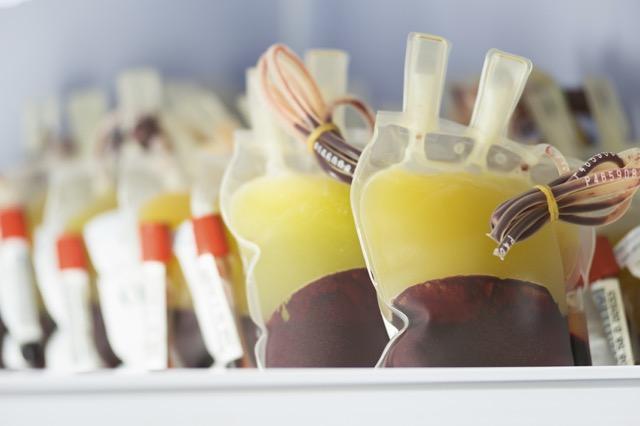 Blood pint photo