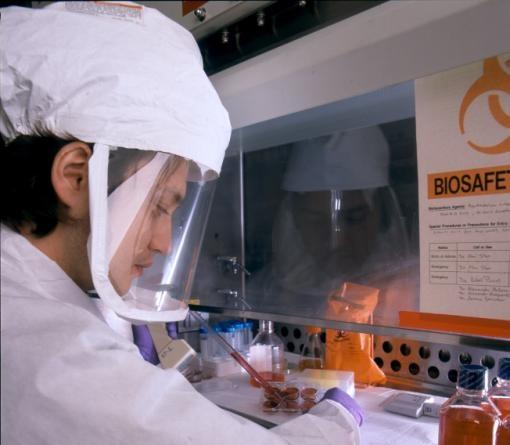 BSL-3 lab worker