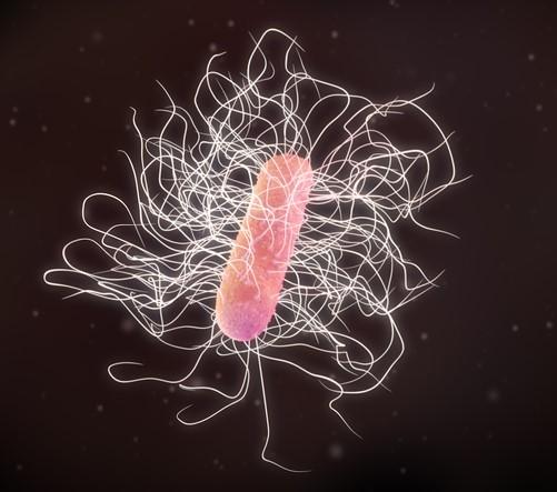 C difficile