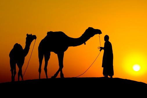 Camel and man silhouette