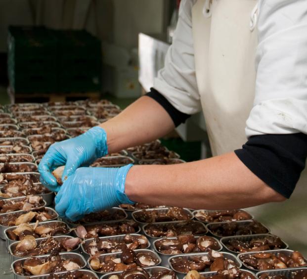 Canning at food factory