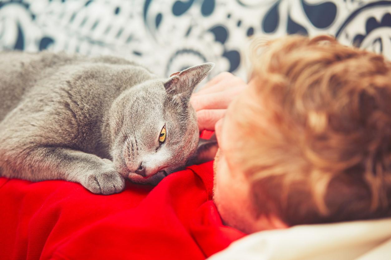 Cat resting on man's chest