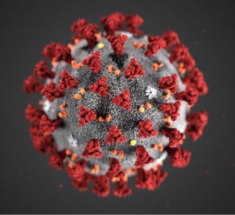 Coronavirus illustration