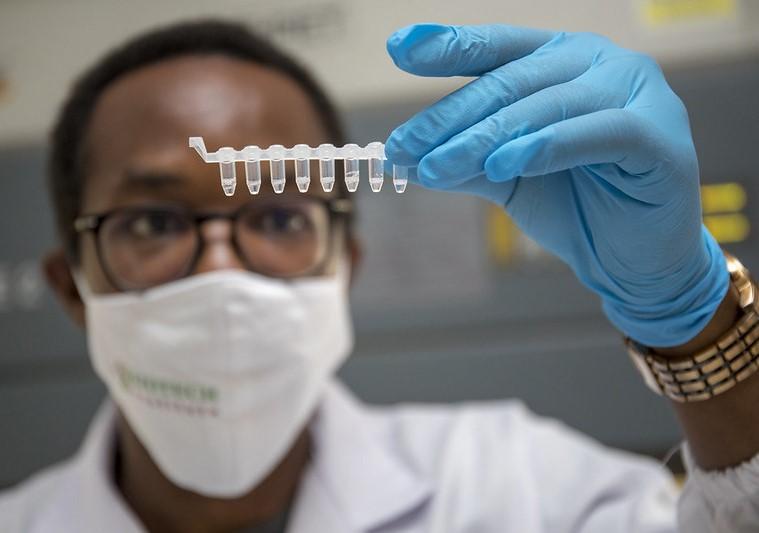 Doctor holding up COVID test samples