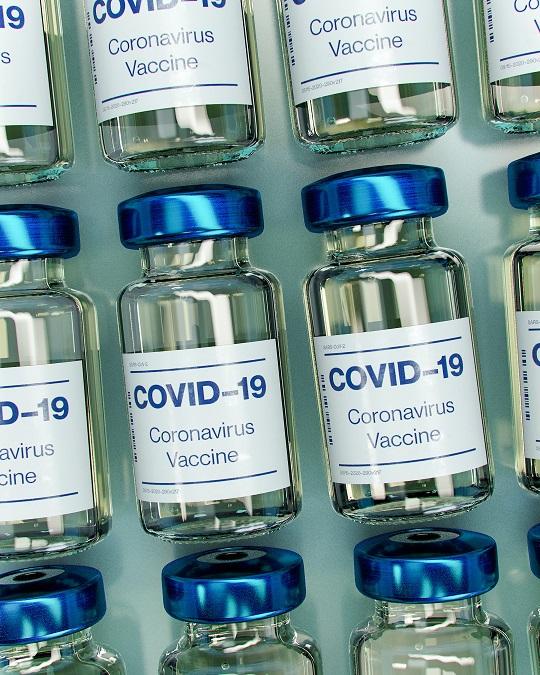 Rows of COVID-19 vaccine vials