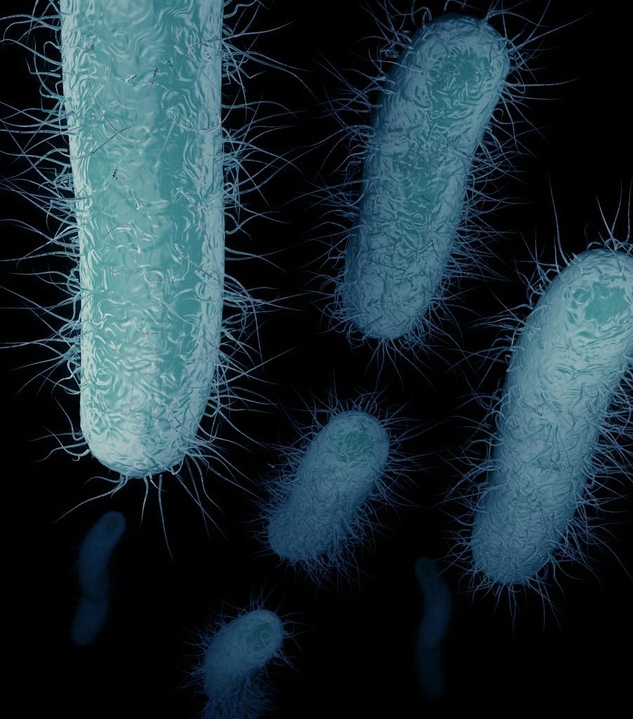 Antibiotic-resistant superbugs