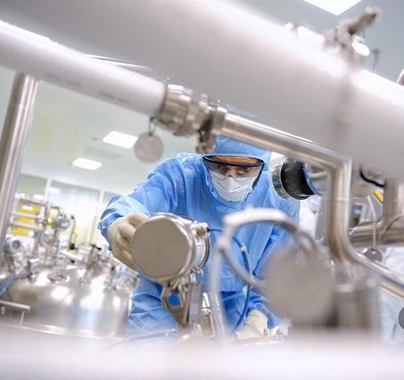 Dengue vaccine production