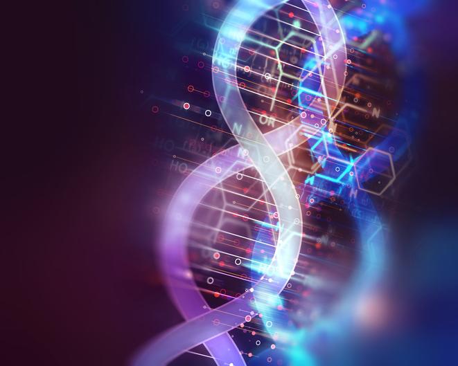 DNA molecules