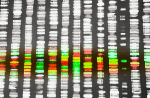 DNA sequencing