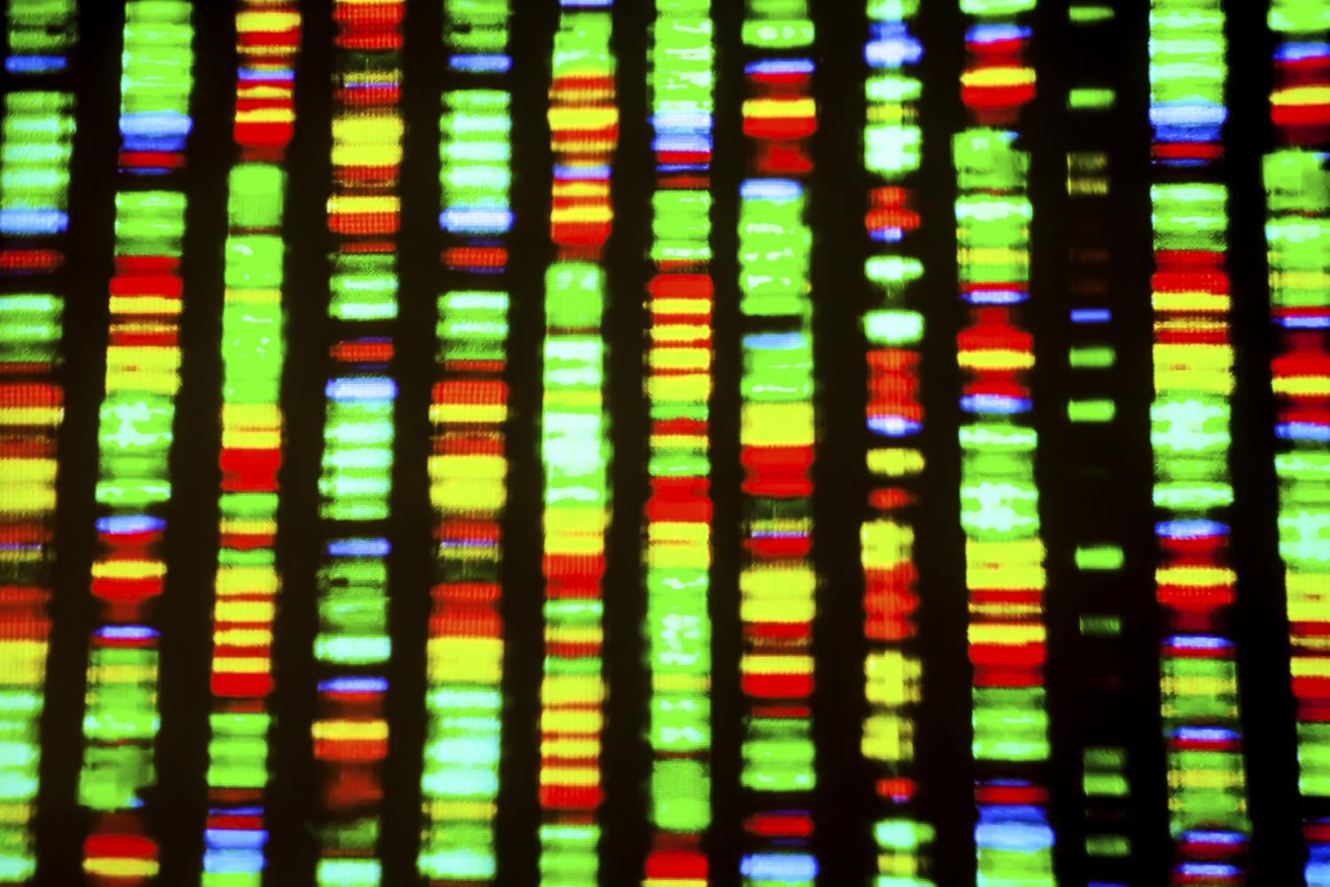 DNA fingerprint