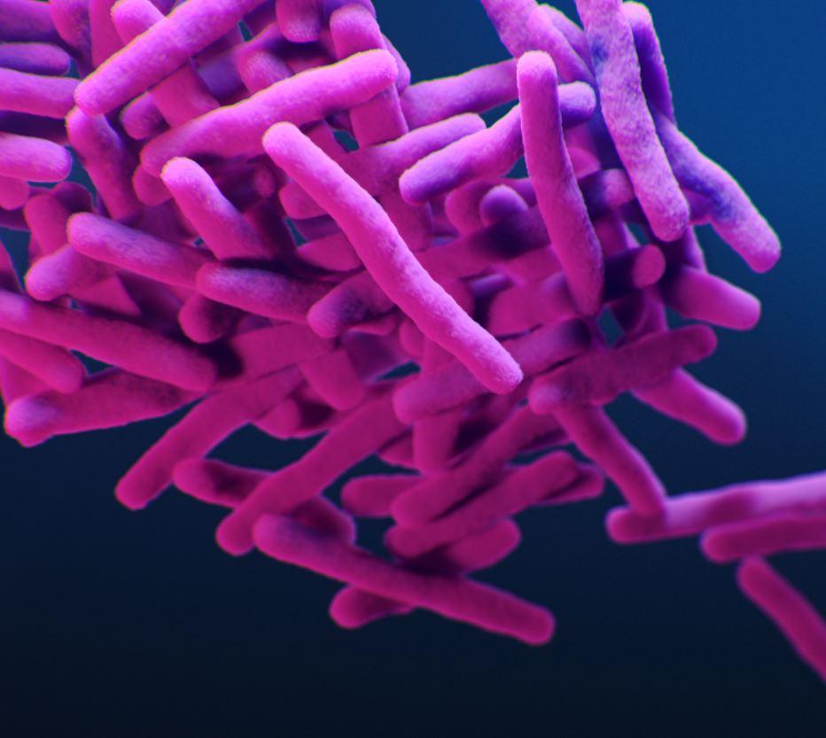 Drug-resistant tuberculosis illustration