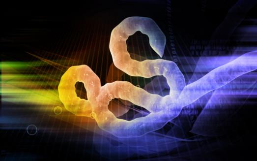 Ebola virus