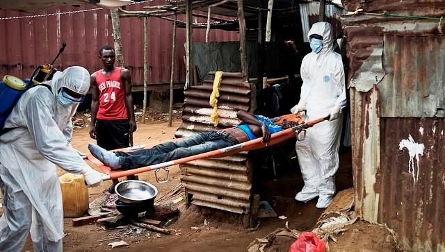 Experts suspect Ebola virus sometimes spreads by air | CIDRAP