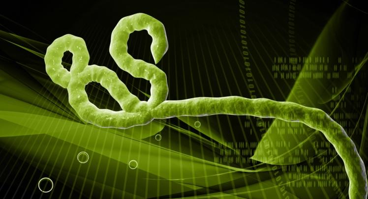 Ebola virus