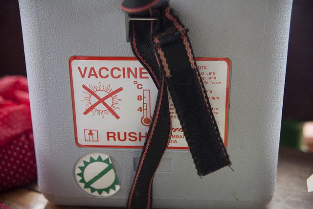 Ebola vaccine