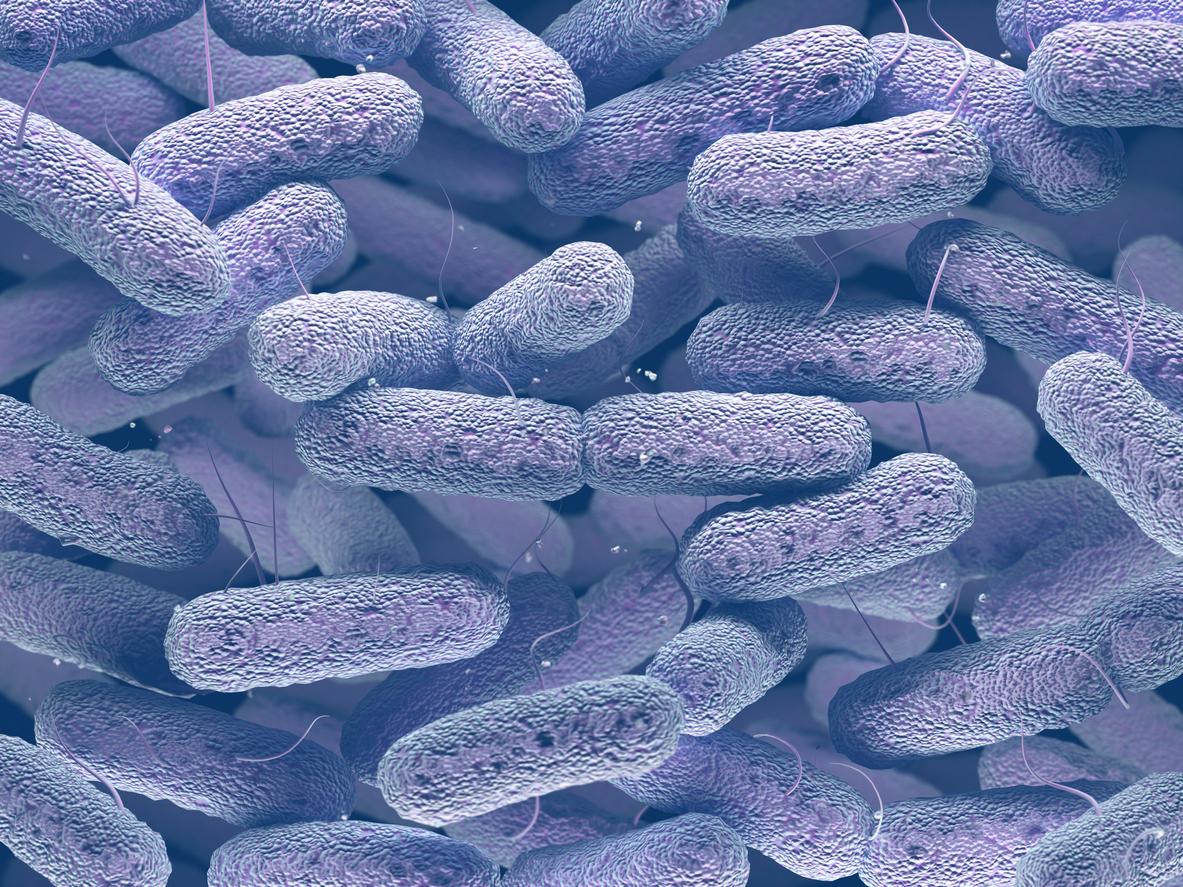 Enterobacteriaceae