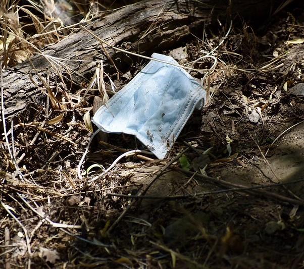 Face mask on forest floor