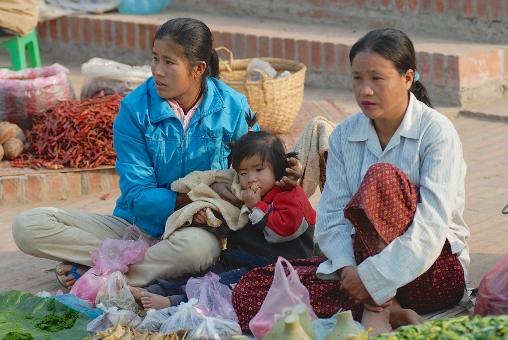 Family food market