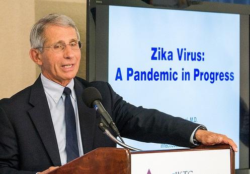 Tony Fauci, MD
