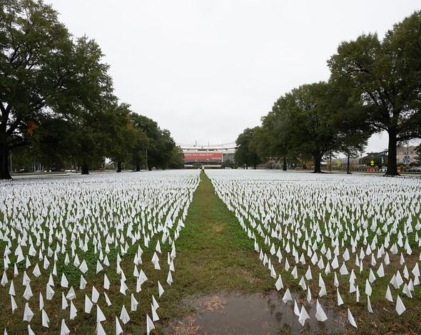 White flags representing COVID-19 deaths