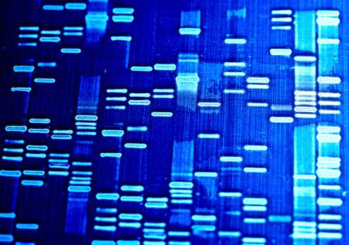 Gene sequencing