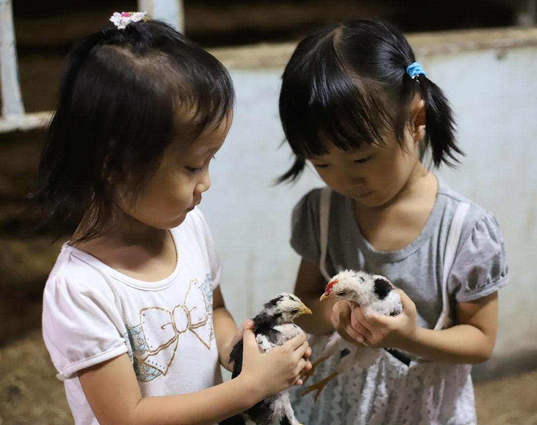 Two girls with young chickens