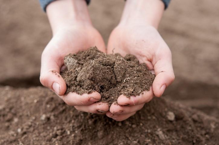 Handfuls of soil