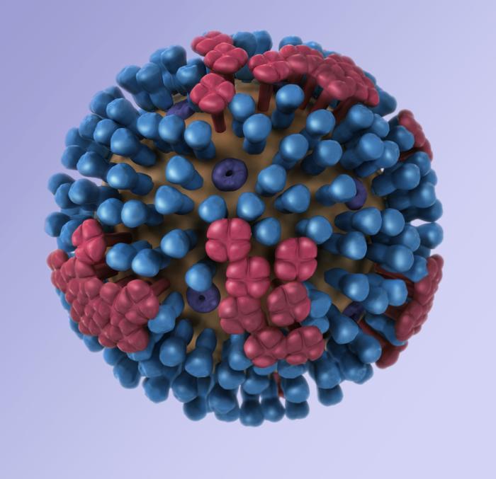 Influenza virus