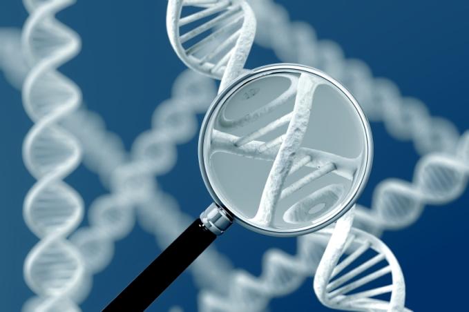Magnified DNA