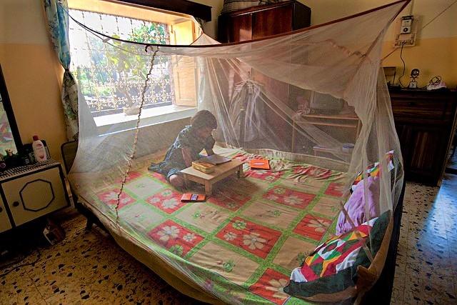 Malaria mosquito net