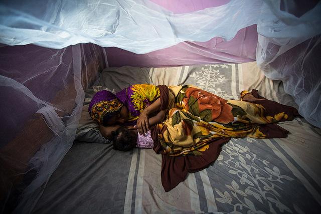 malaria bednet