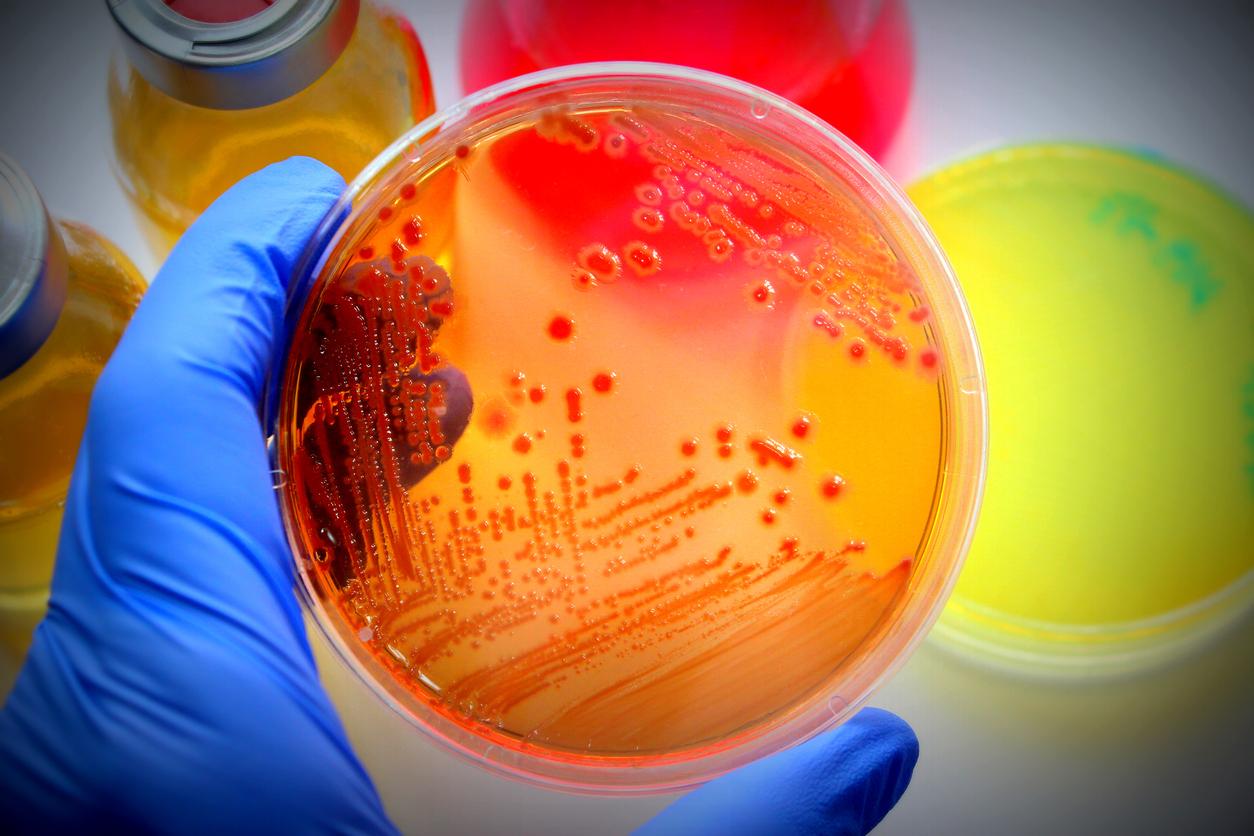 microbiological testing