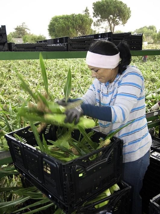 Migrant farm worker